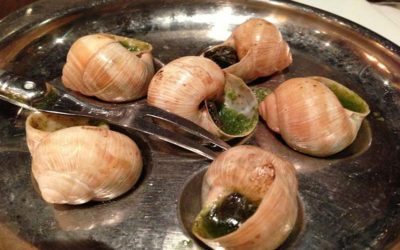 How I Learned To Eat Escargot