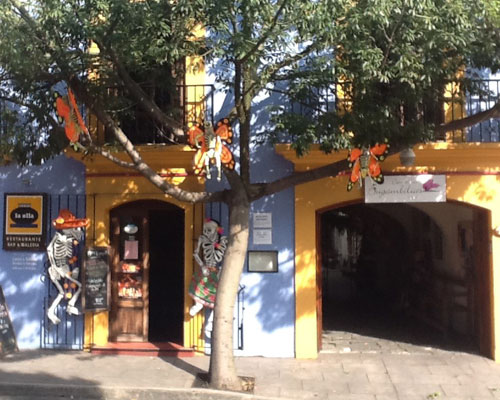 Casa de las Bugambilias and La Olla Restaurant in Oaxaca