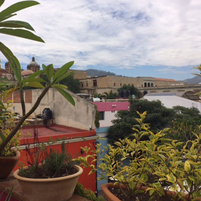 View From the Terrace of La Olla Restaurant