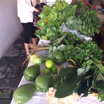 Organic vegetables from Huertos Bi Nisa
