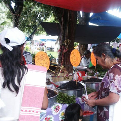 Mole Vendors at Etla Market