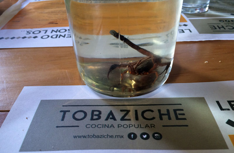 Restaurant Review:  Tobaziche