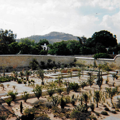 Botanical Garden in 2001