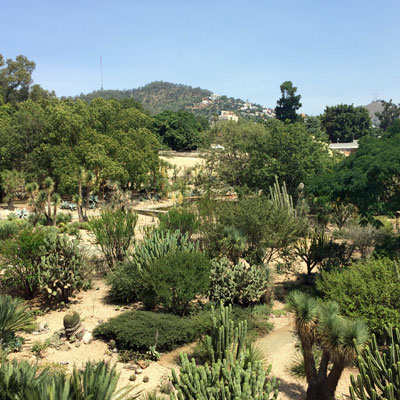 Botanical Garden in 2016