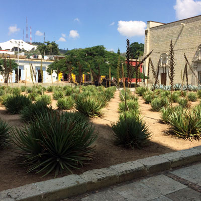 Santo Domingo Plaza in 2016