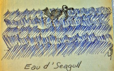 Sea Gull Cellar Bar Remembered