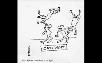 Cat Fight